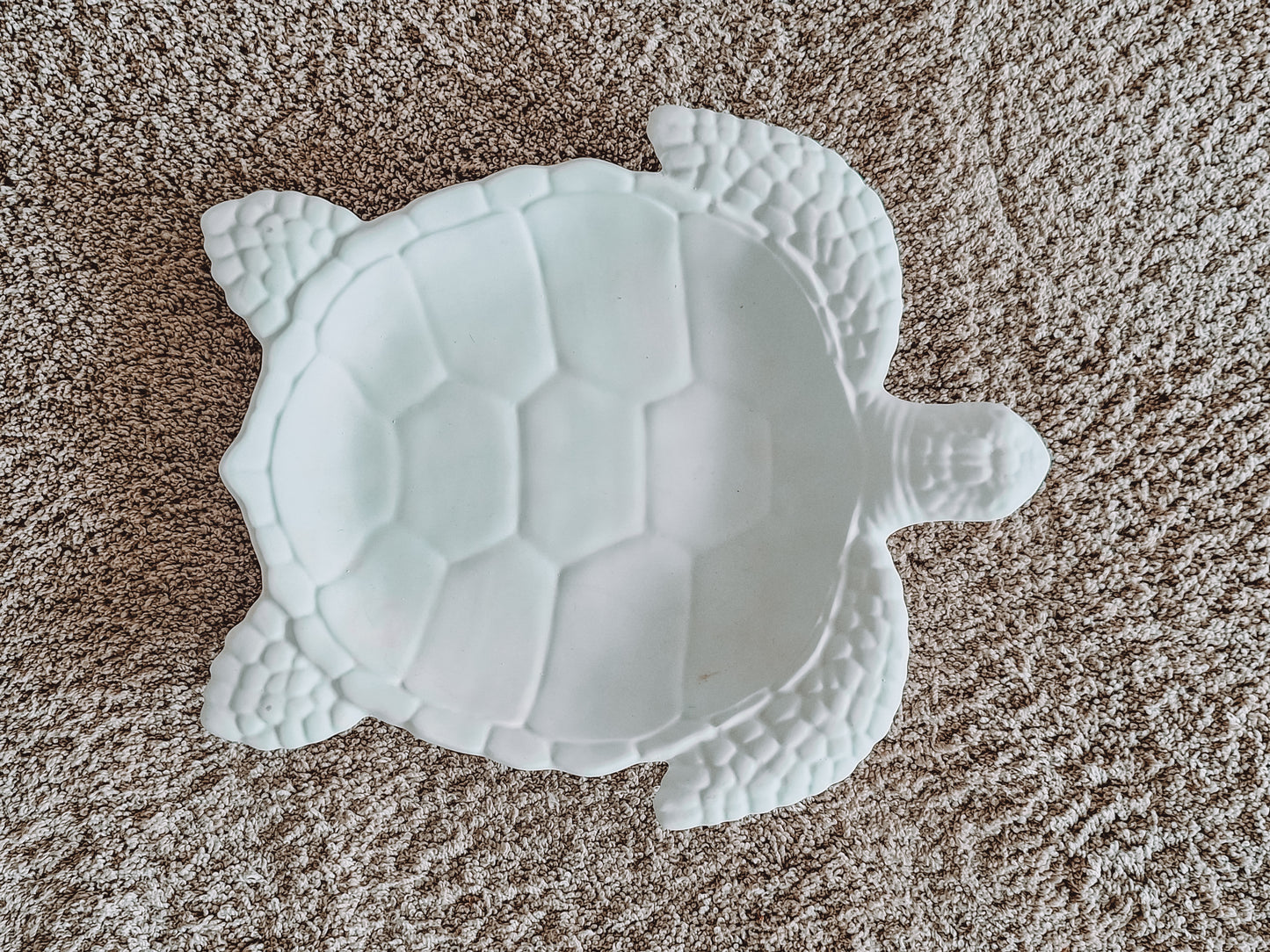 Schildkröte