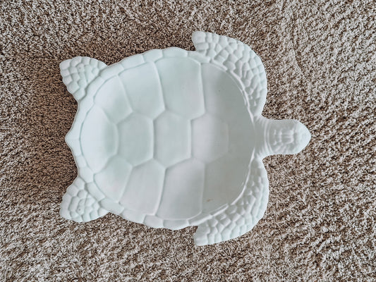 Schildkröte