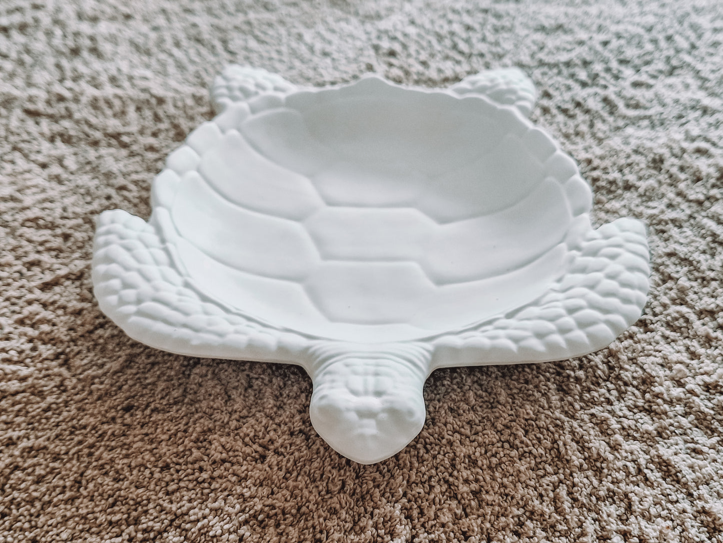 Schildkröte