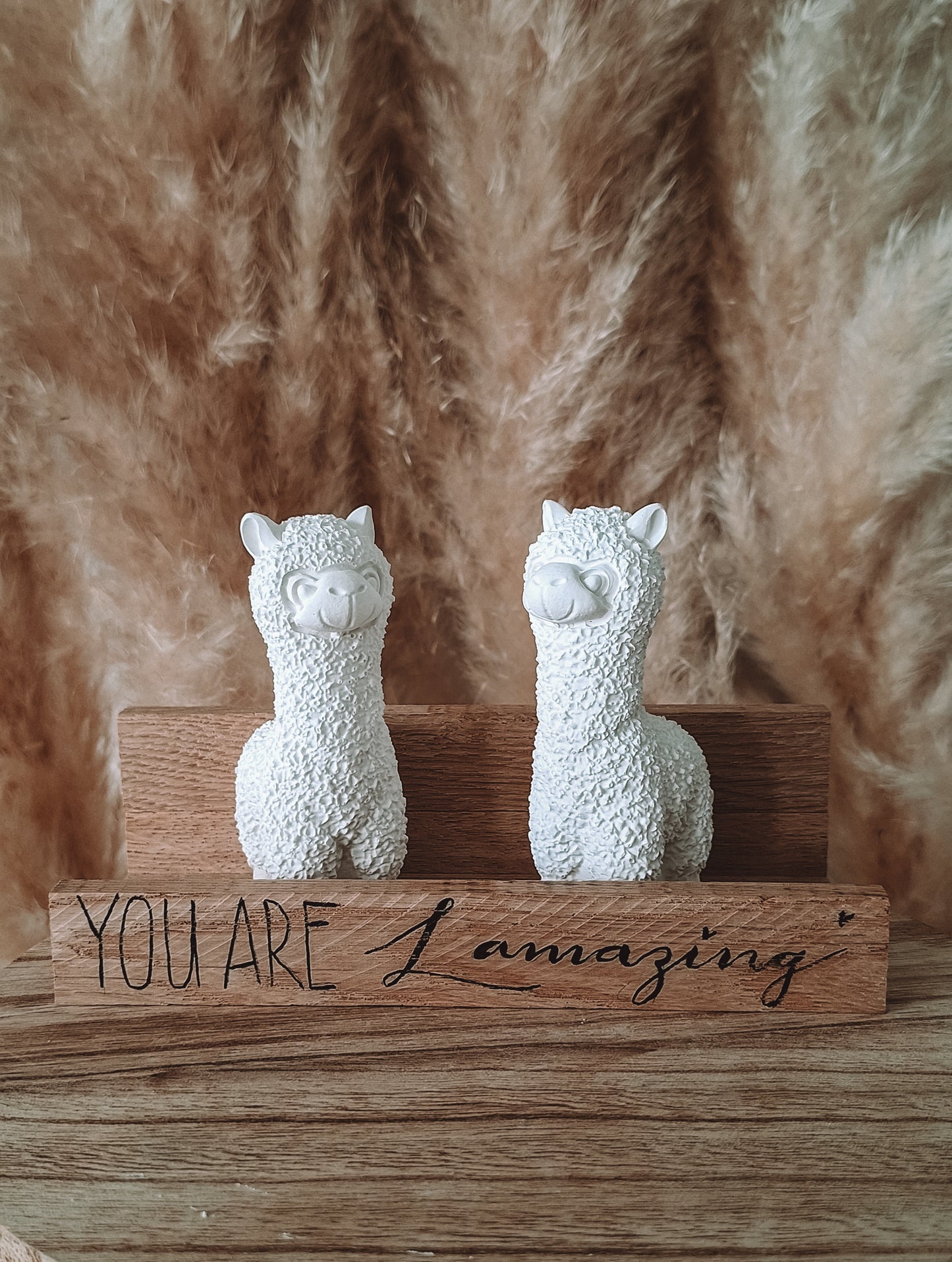 Geschenkset "You are Lamazing"