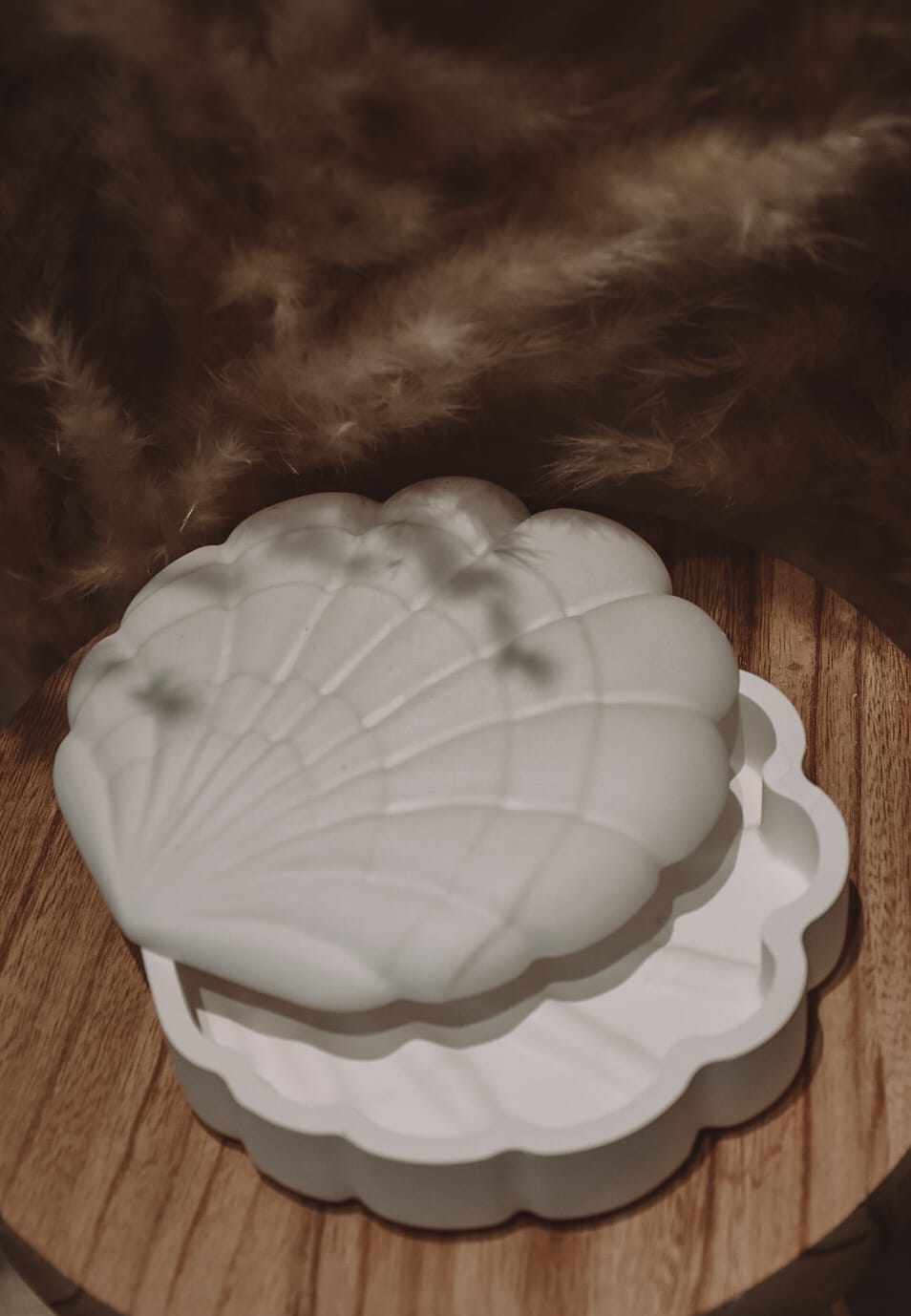 Muschelschale