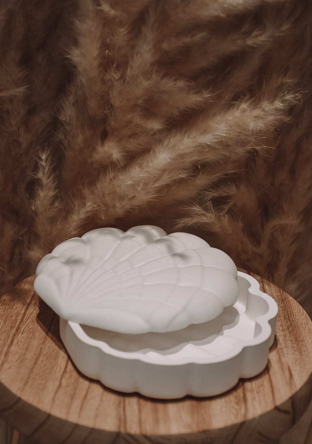 Muschelschale