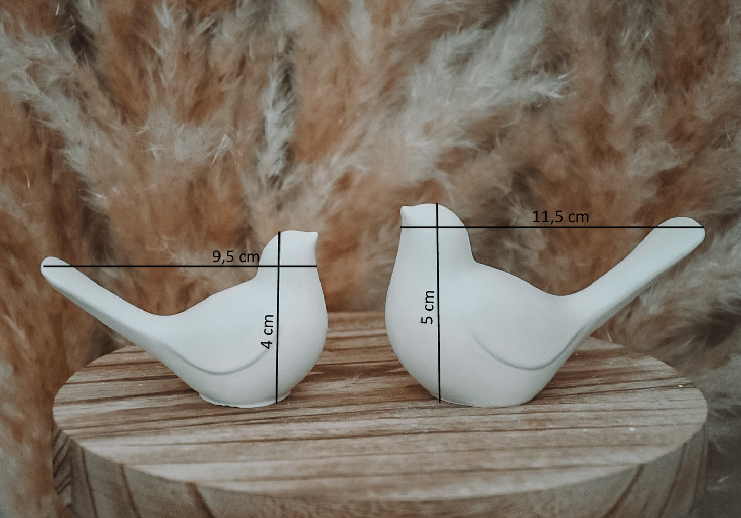 Vögel