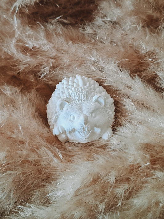 Igel