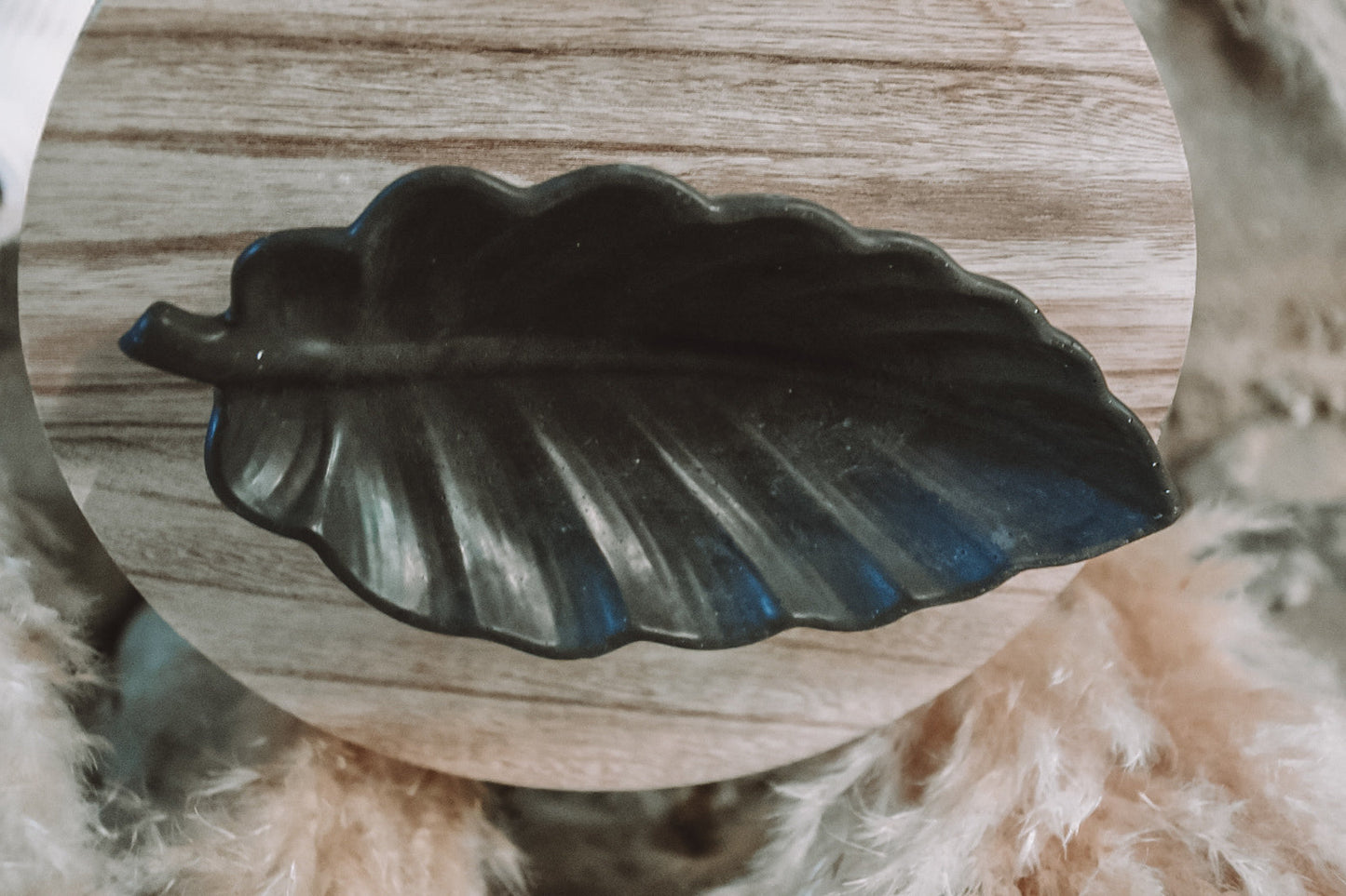 Tropisches Blatt