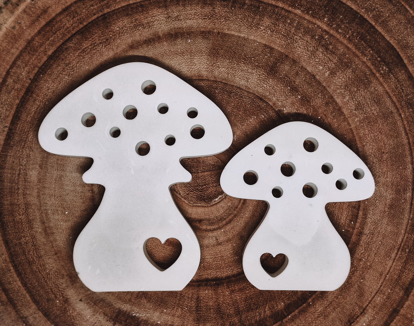 Pilz mit Herz
